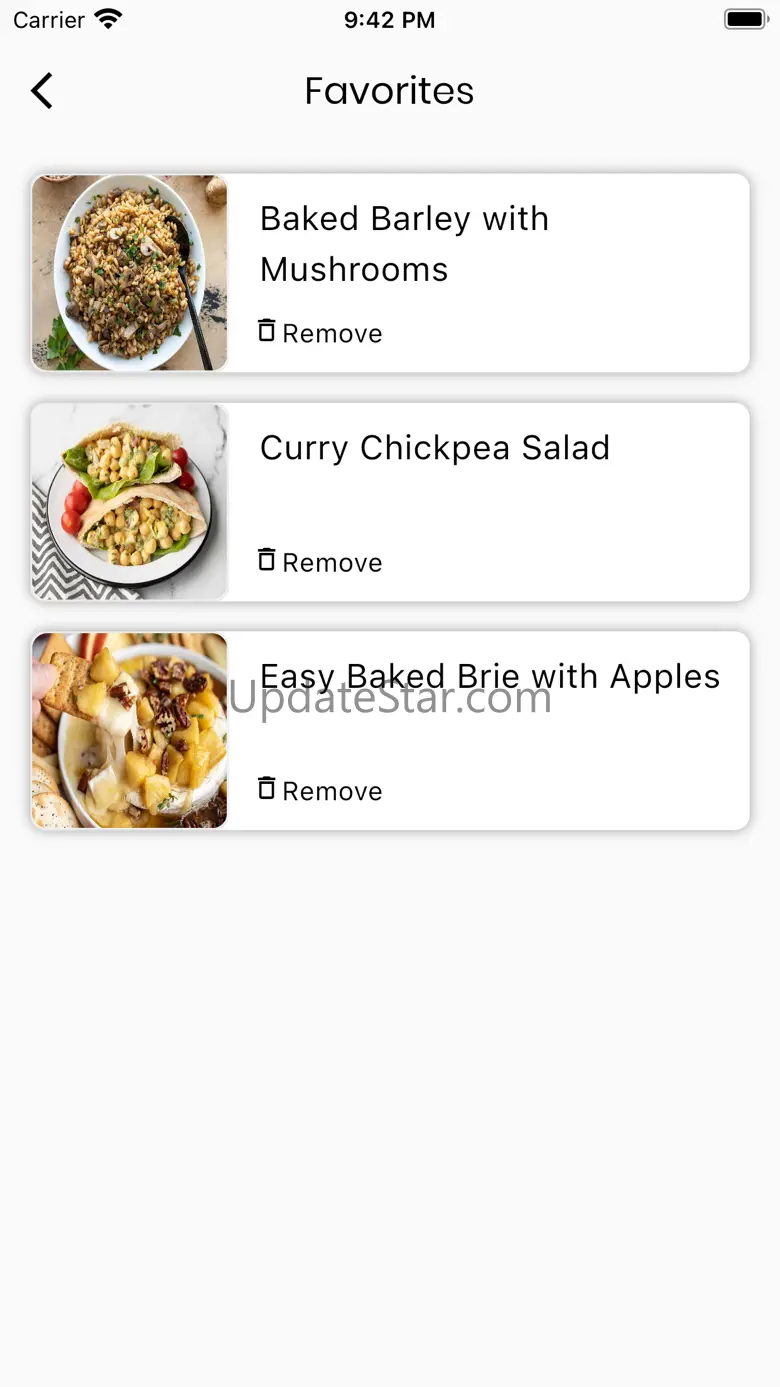 Only Recipe 1.0.1