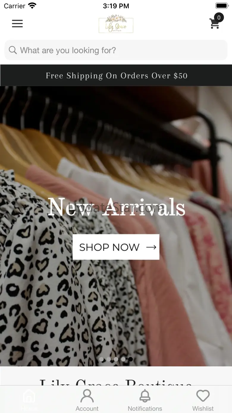 Lily Grace Boutique 1.5