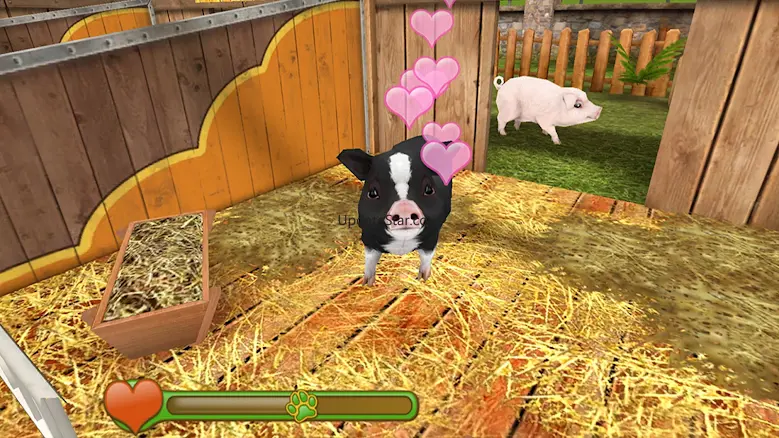 Pet World: My Animal Shelter 5.6.21