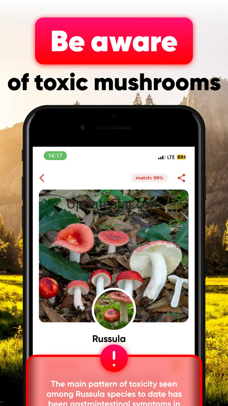 Mushroom ID - Identification 1.0.4