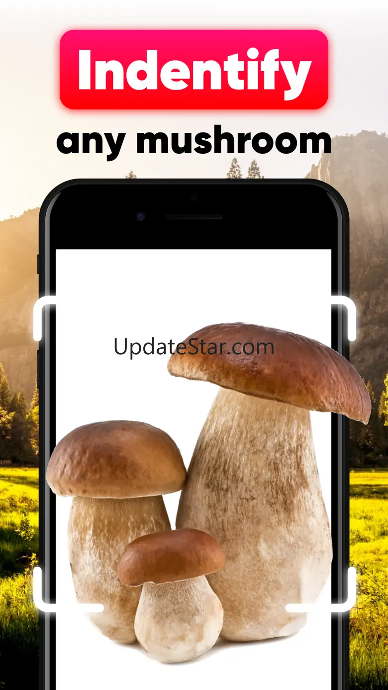 Mushroom ID - Identification 1.0.4