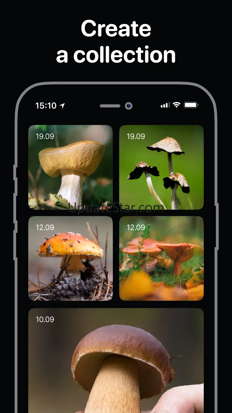 Mushroom Identification: Fungi 1.1.3