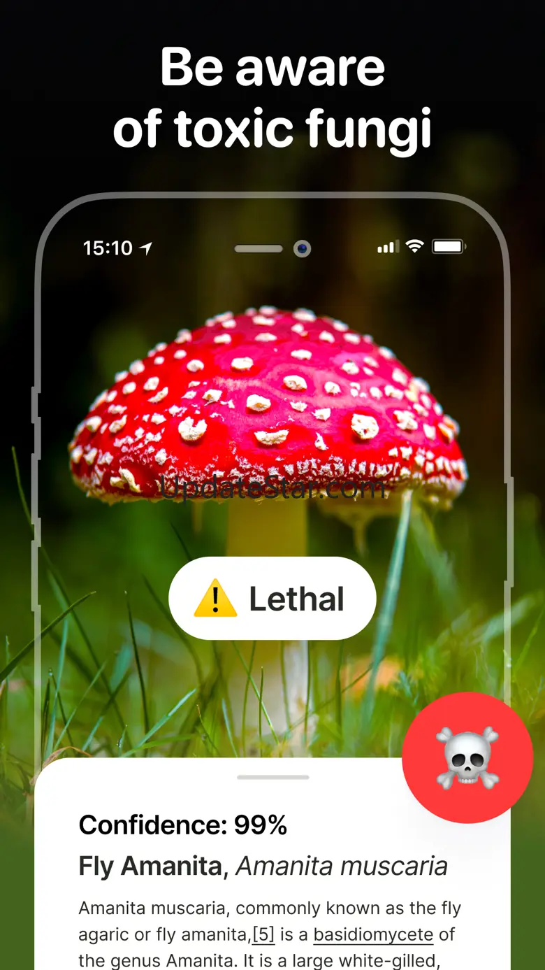 Mushroom Identification: Fungi 1.1.3