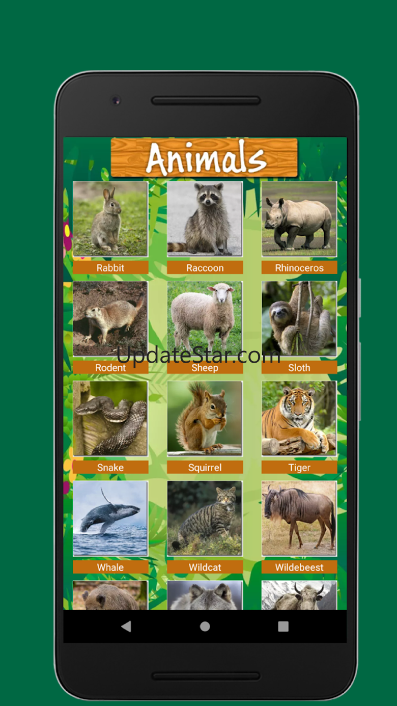 Birds & Animal Sounds