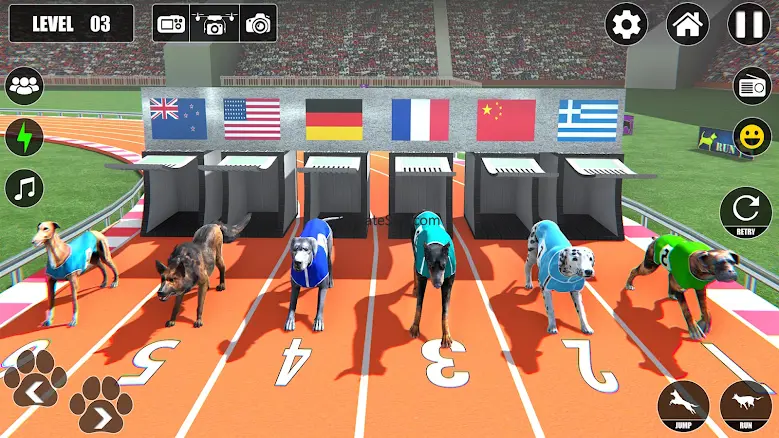 Dog Racing Championship Game 1.3