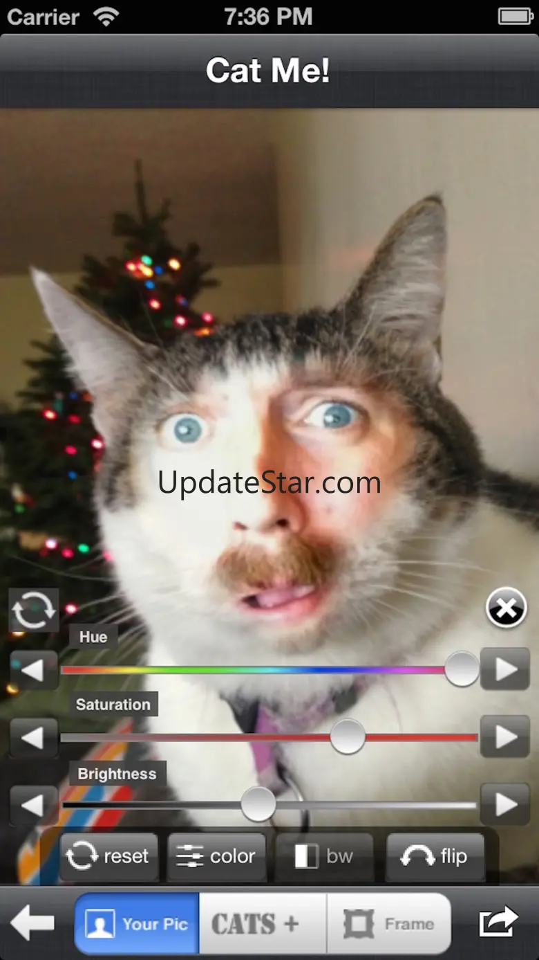 Cat Me! 2.2