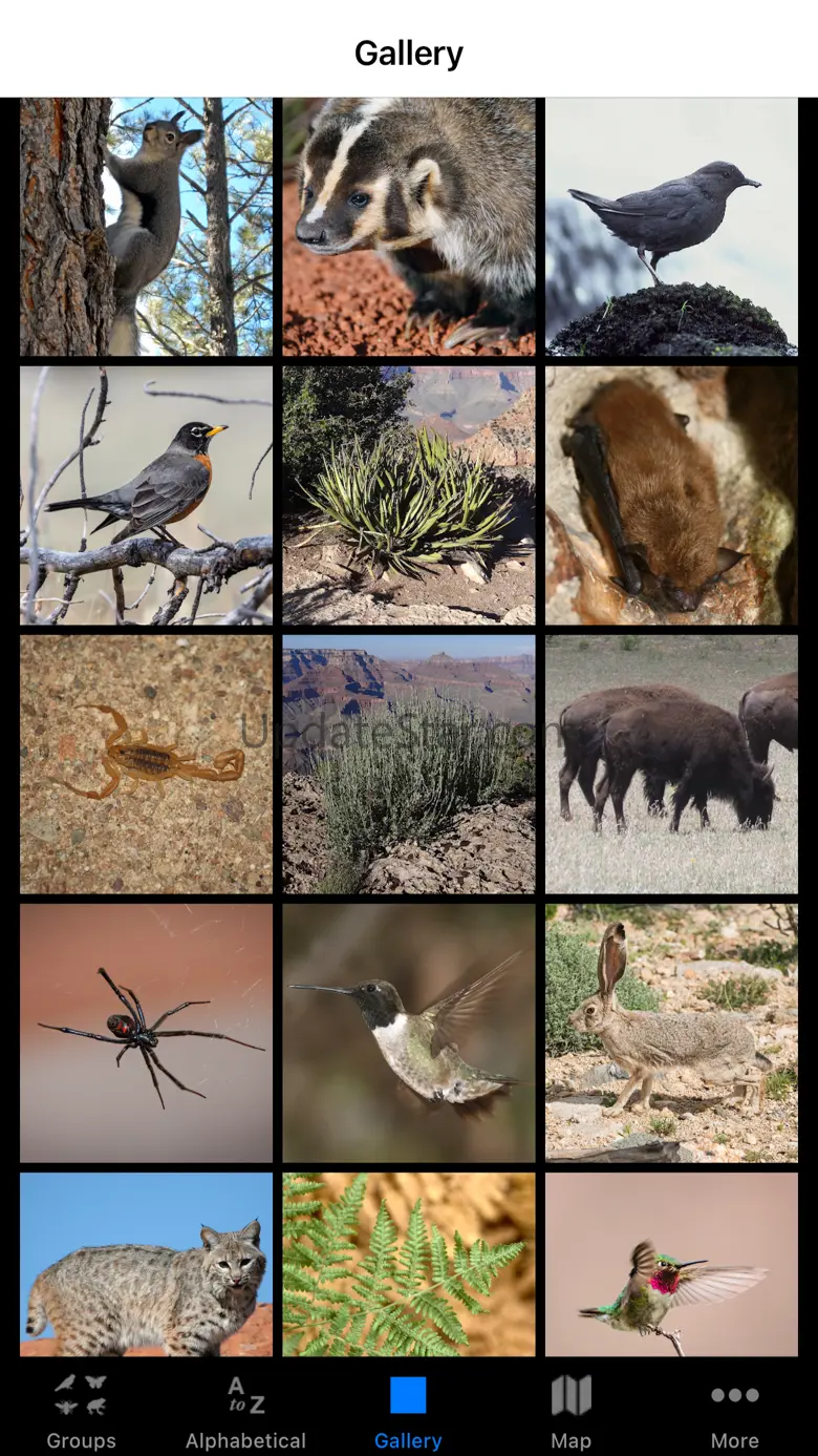 Grand Canyon NP Field Guide 2.3