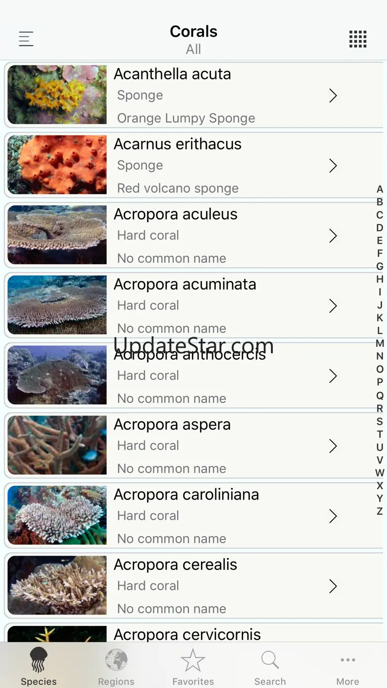 Corals, by Reef Life 4.0