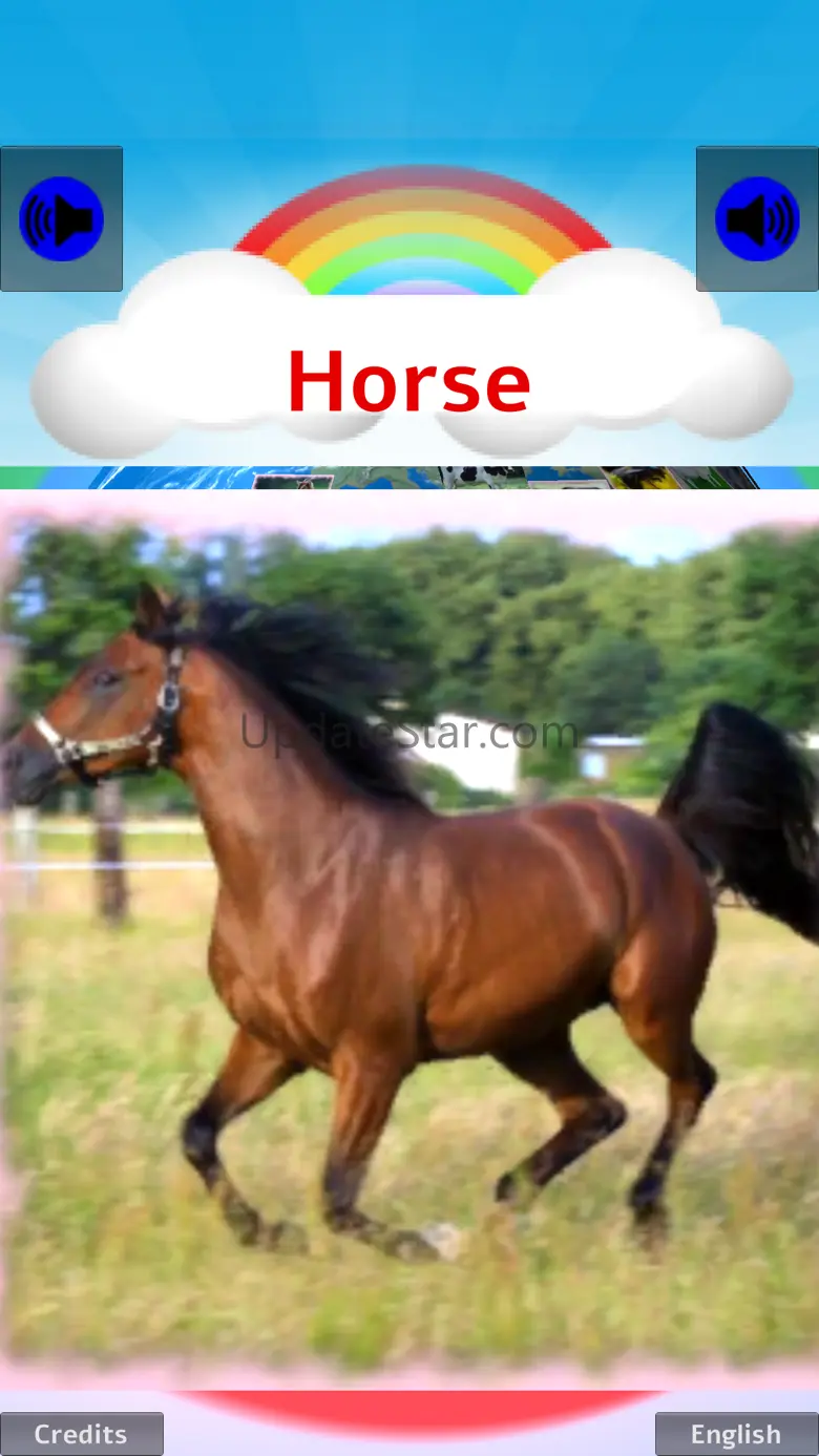 100 ANIMALS PICTURES & SOUNDS 2.51