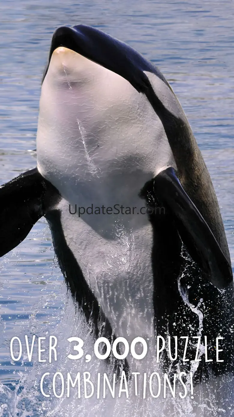 Orca Puzzles for Kids Free Jigsaw Wonder Edition 1.1