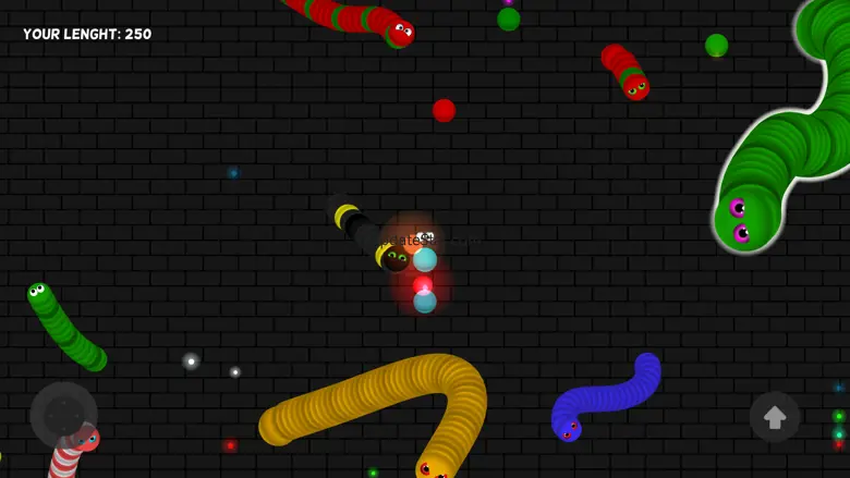 Snake Anaconda Dot & Eat Color Games 1.0