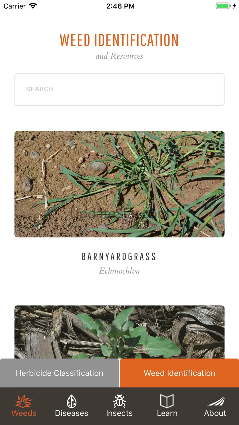 Take Action on Weeds 1.3.7