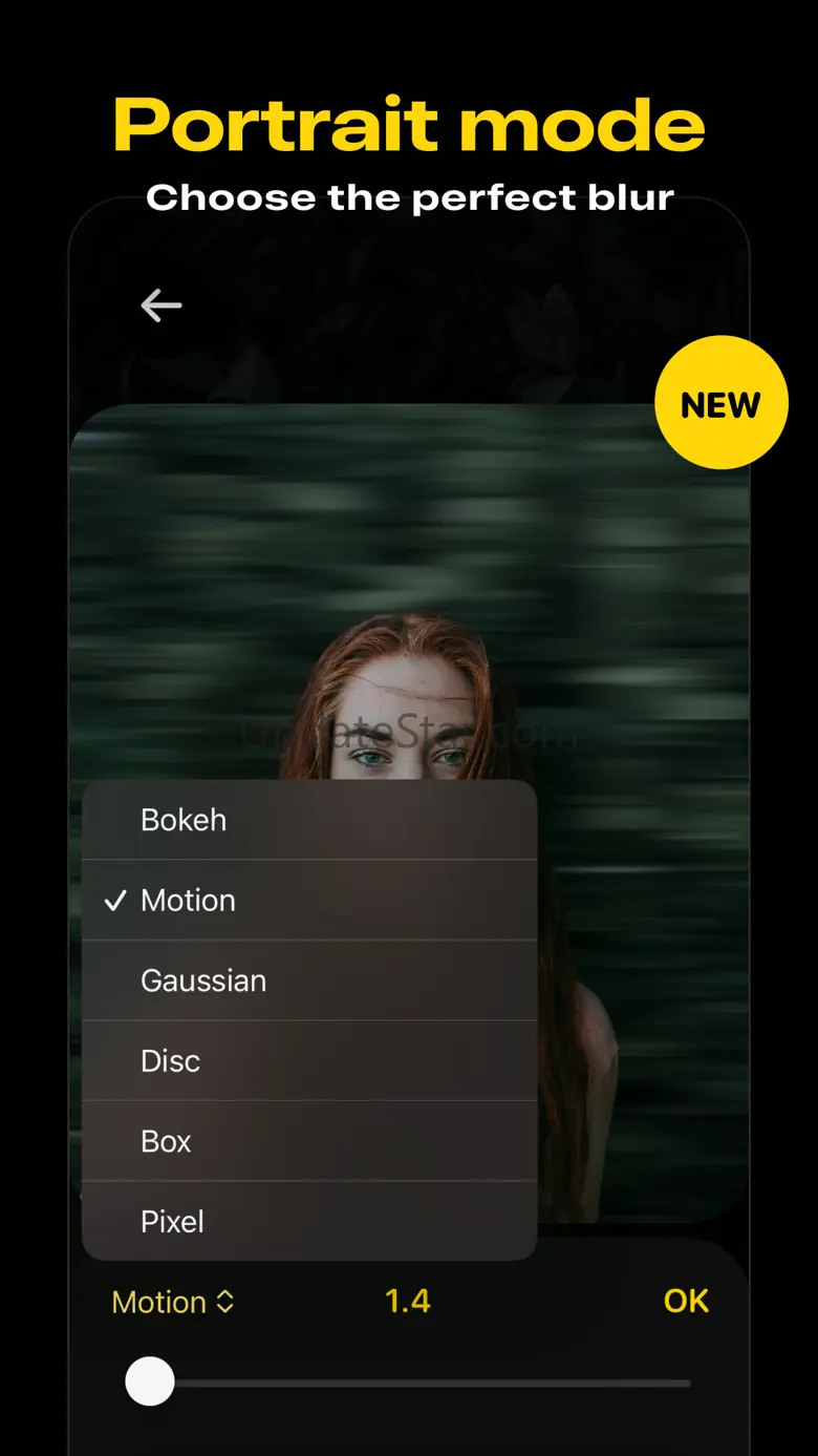 Portrat: Background Editor 2024.7