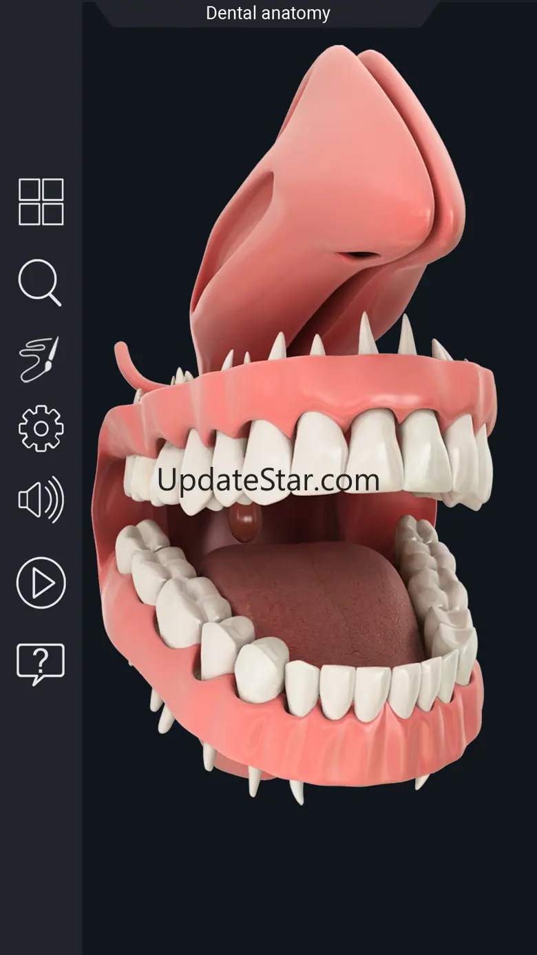 My Dental Anatomy Dental Anatomy 1.4