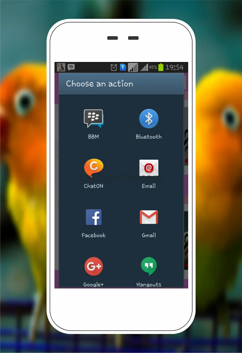 Lovebird Version: 5.004.0001