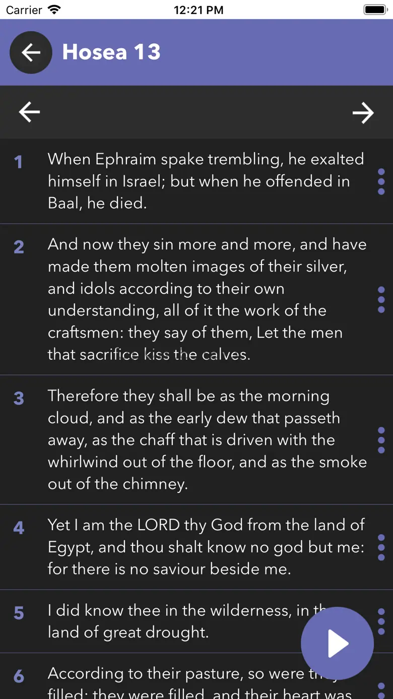 Bible in Spanish 1.2