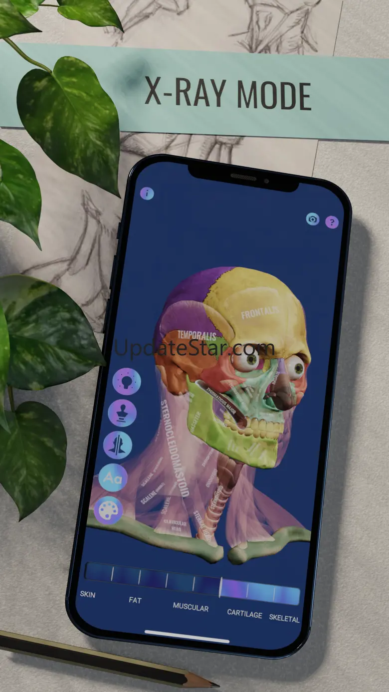 Ecorche: Portrait Anatomy 1.8.1