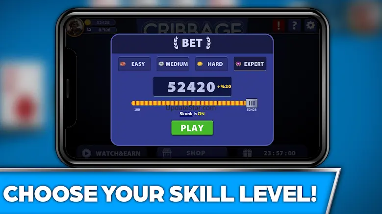 Cribbage Offline Card Game 2.09