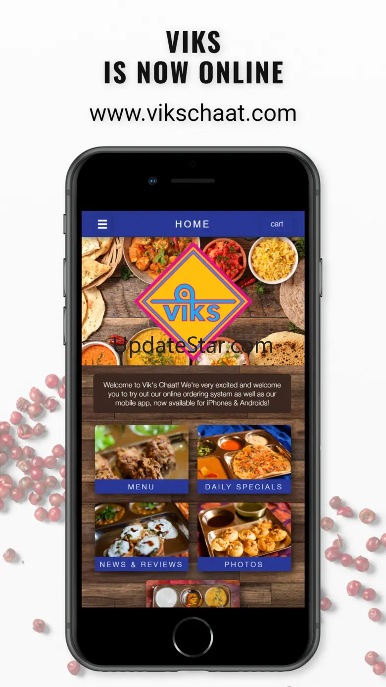 Viks Chaat 1.1