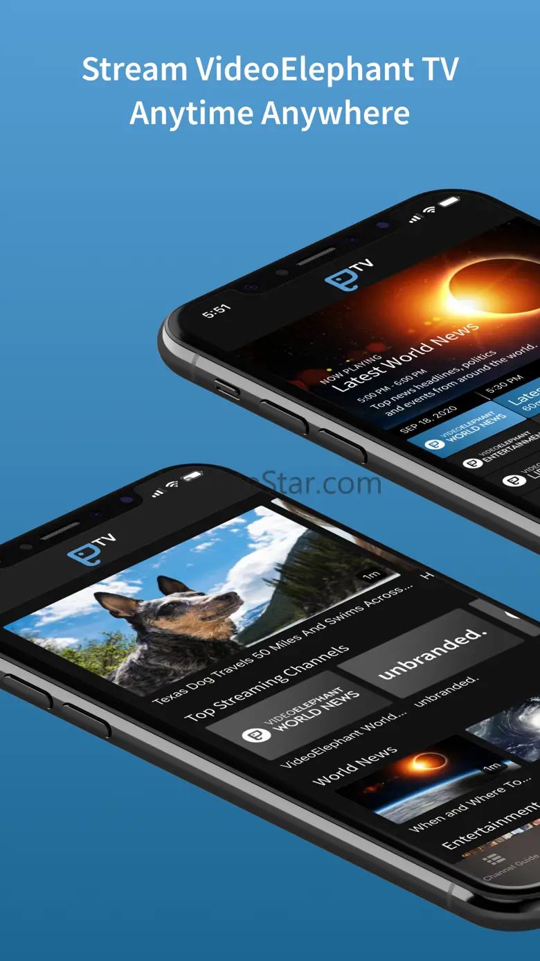 VideoElephant TV 1.0.5