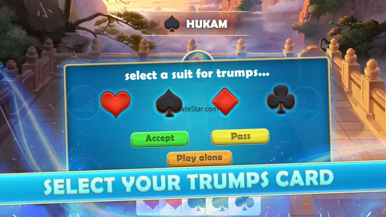 Euchre Cards 0.4