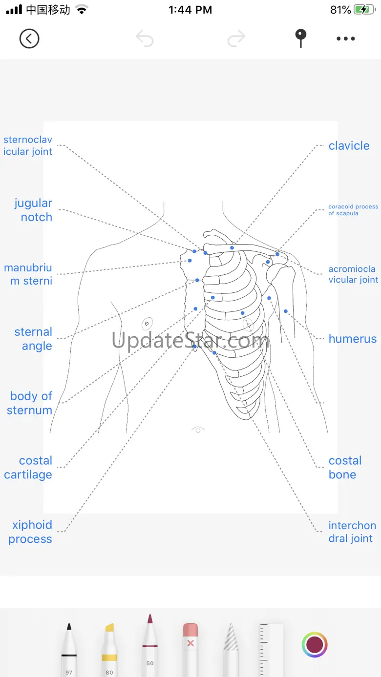 Body coloring book 1.2.8