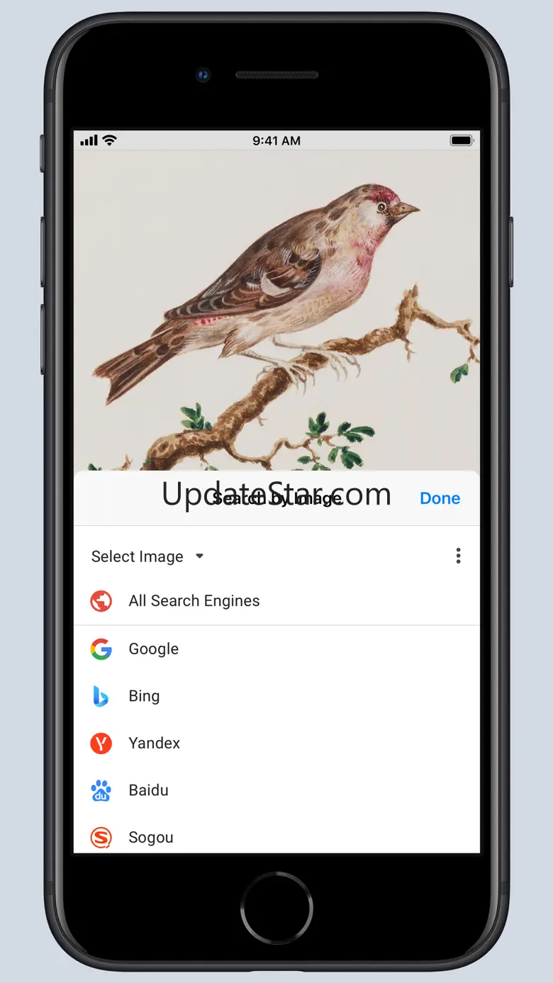 Search by Image for Safari 6.1.2