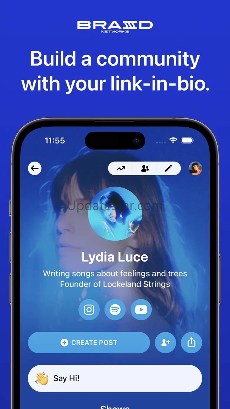 Braid Networks 1.10