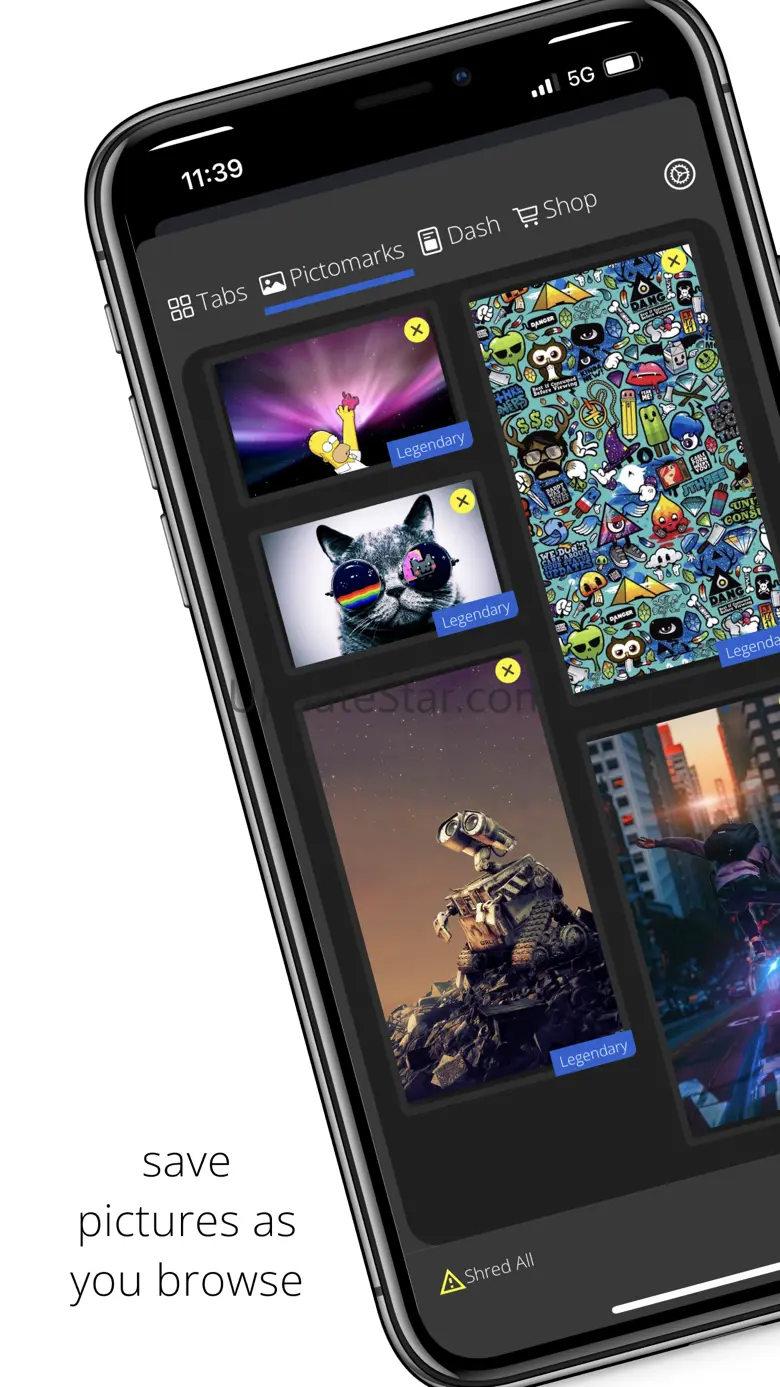 Cydog Browser 29.0