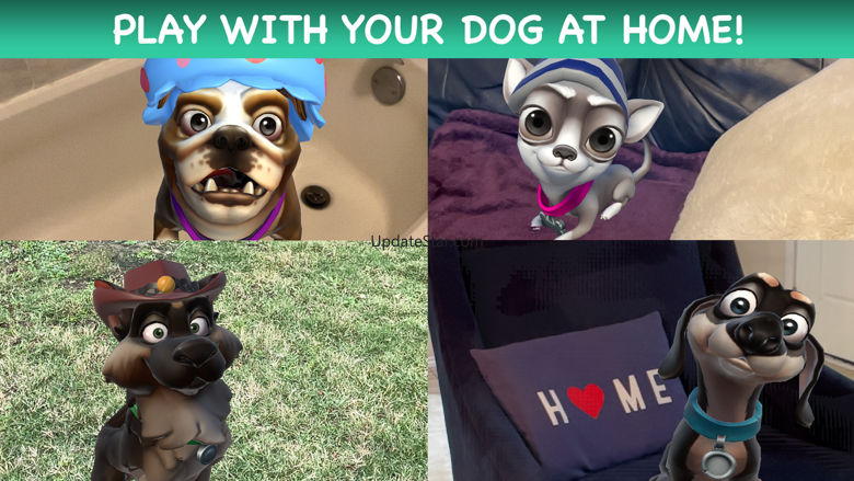 DogDayDash 1.5