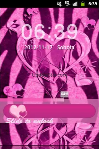 Zebra Heart Pink GO Locker 11