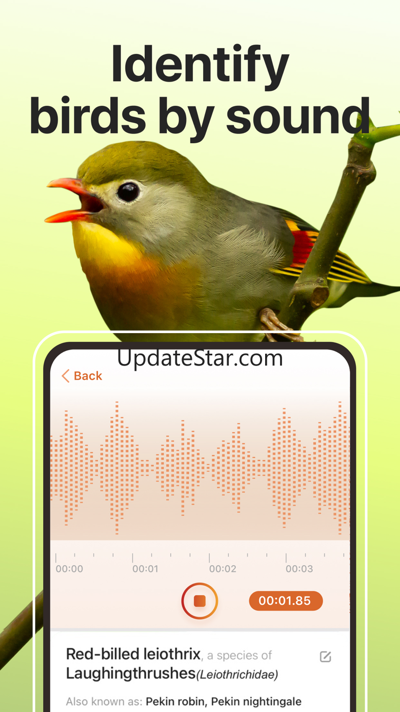 Picture Bird: Sound identifier 2.12.23