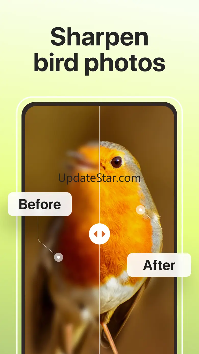 Picture Bird: Sound identifier 2.12.23