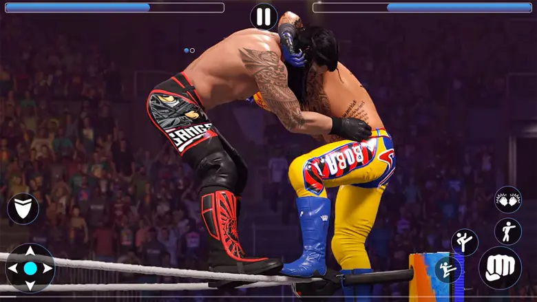 Pro Wrestling Stars-Fight Game 1.3