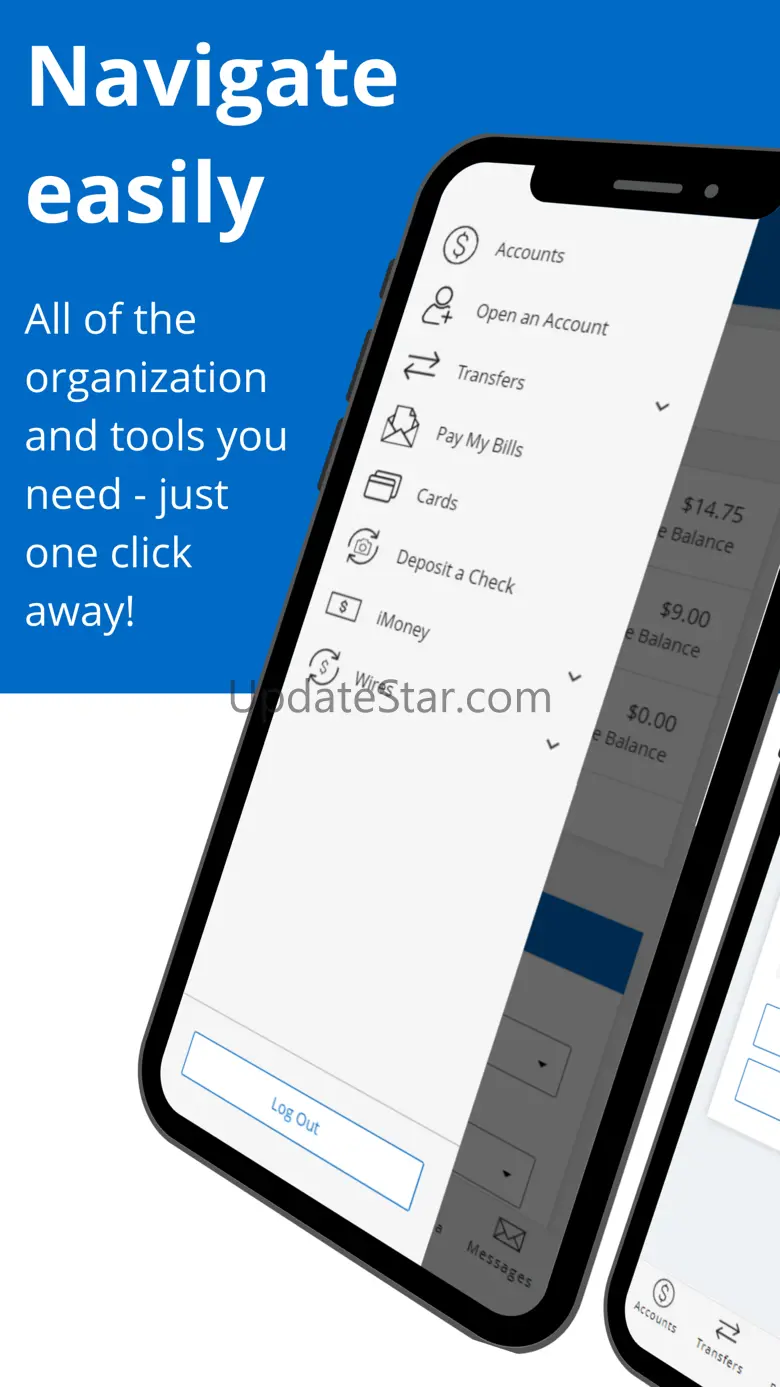 Ion Bank 24.2.0.1