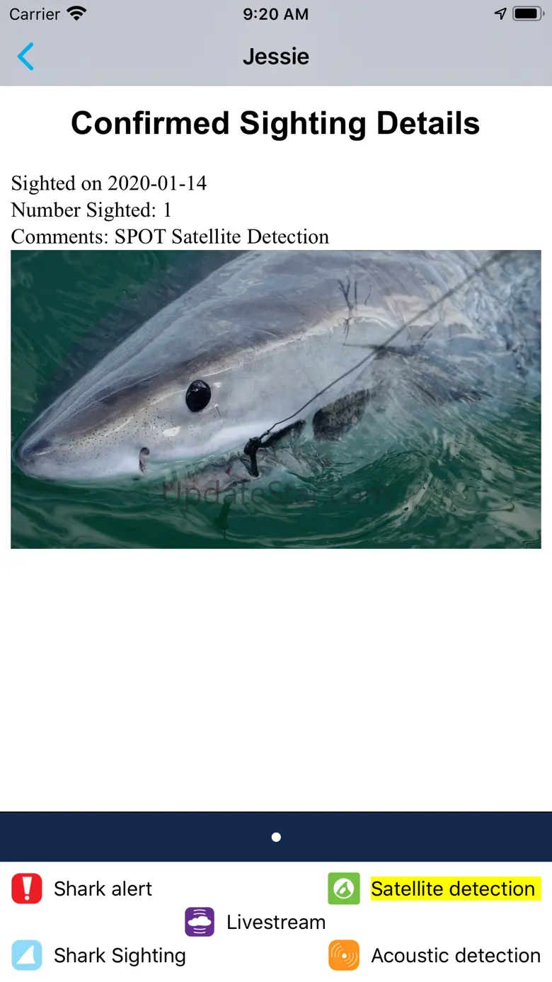 Sharktivity by AWSC 2.0.10