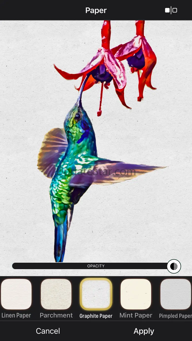 Oilbrush: Photo to Painting 4.1.0