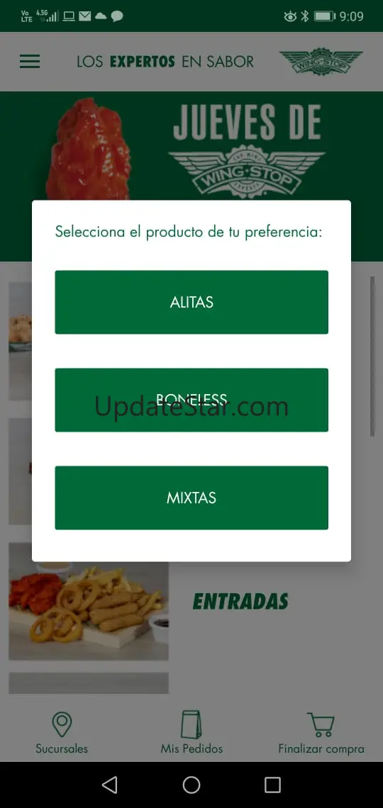 Wingstop México 1.3
