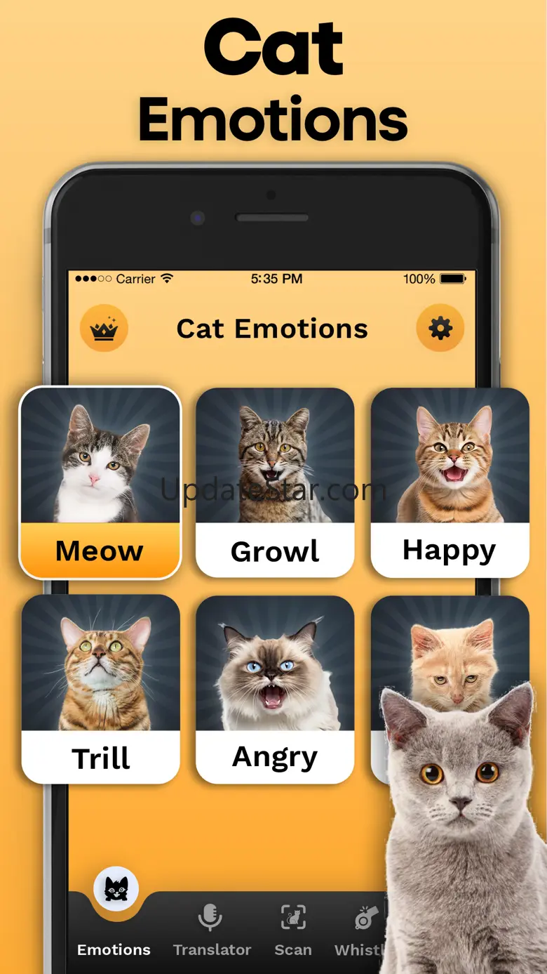 Cat Translator 1.3
