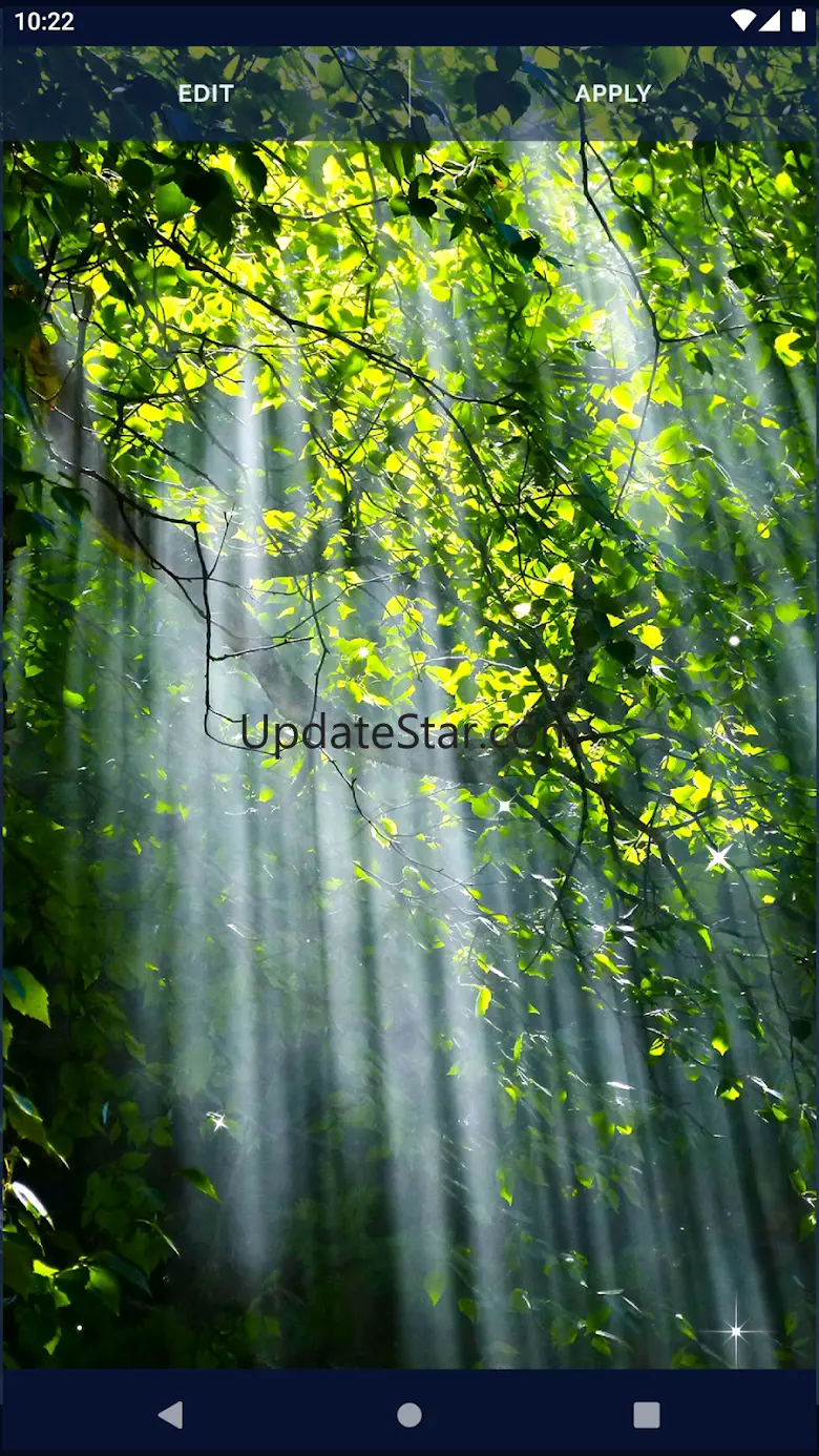 Tree Forest Live Wallpaper 6.10.22