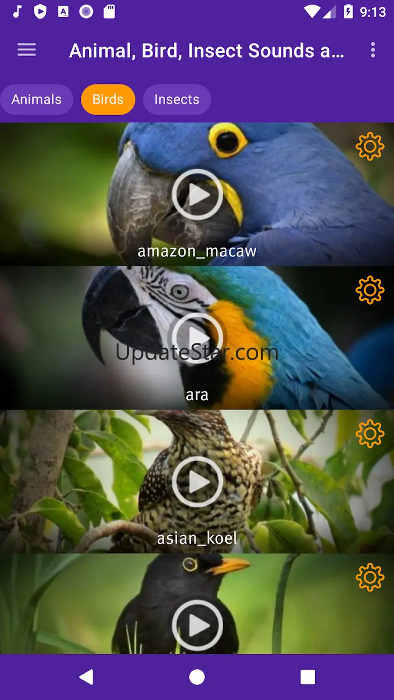 Animal, Bird, Insect Sounds an 1.1