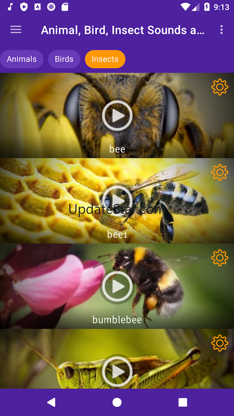 Animal, Bird, Insect Sounds an 1.1