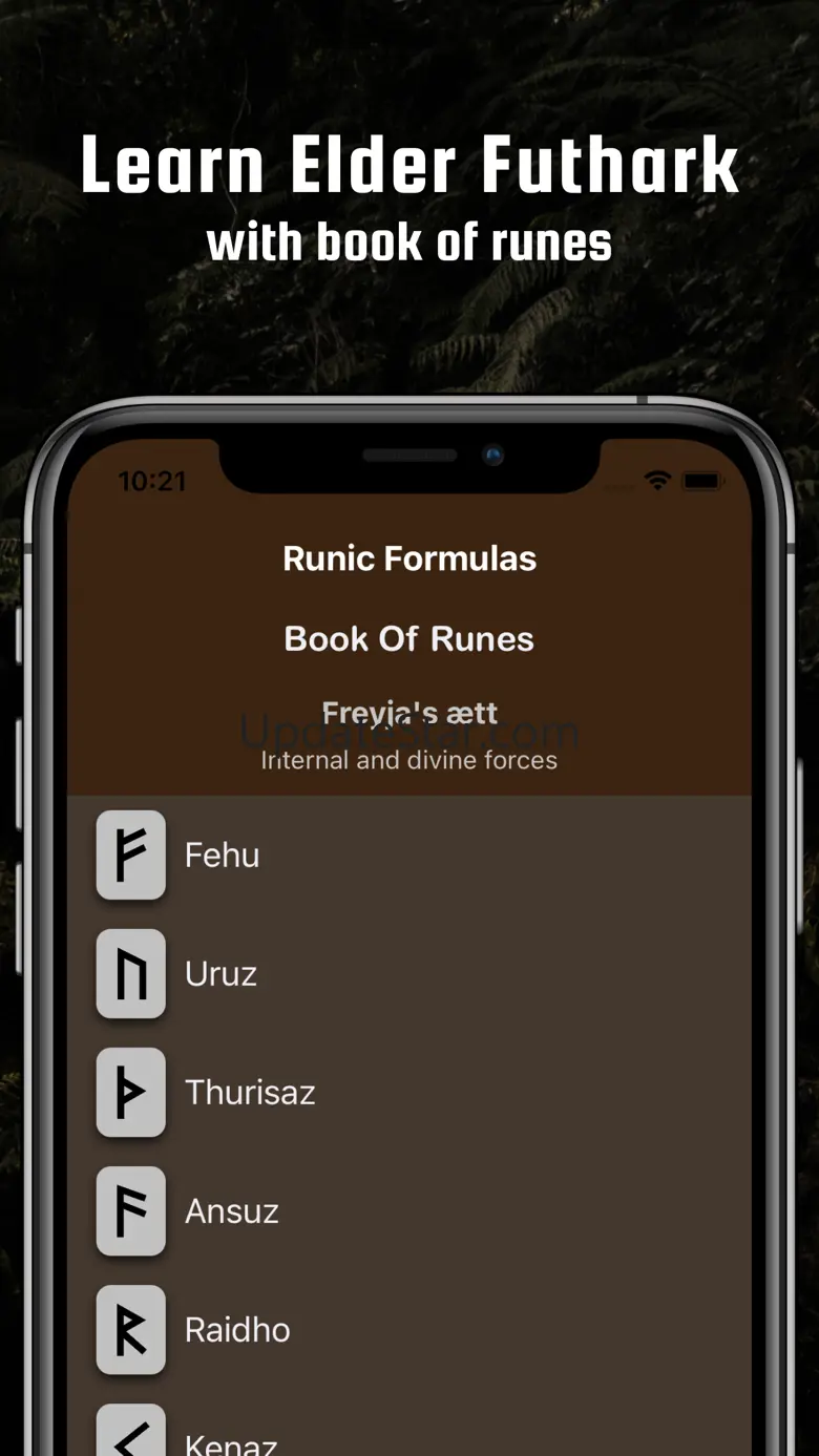 Runic Formulas & Book of Runes 4.4.1