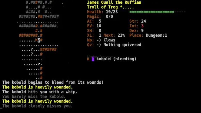 Dungeon Crawl:SS (ASCII) 0.29.1b