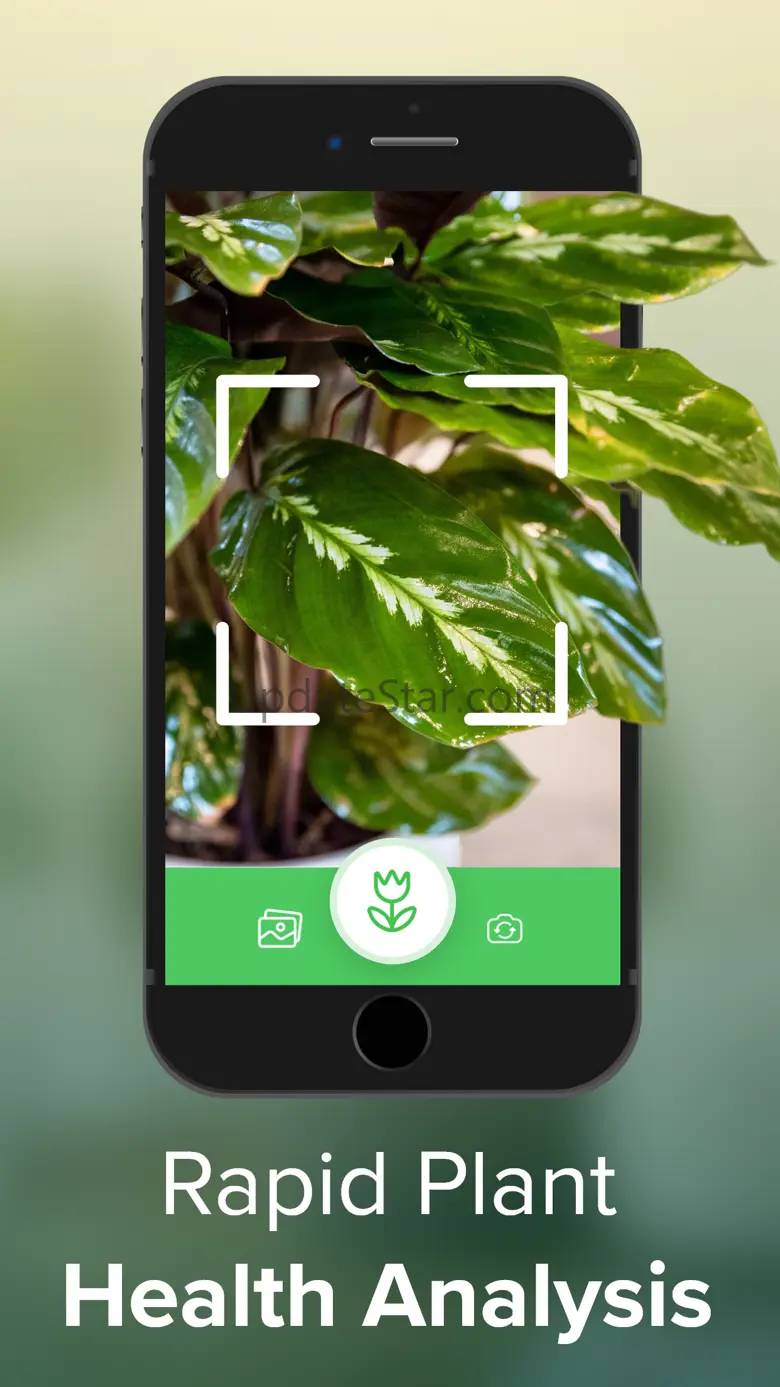 Plant Identifier: Identify 9.8