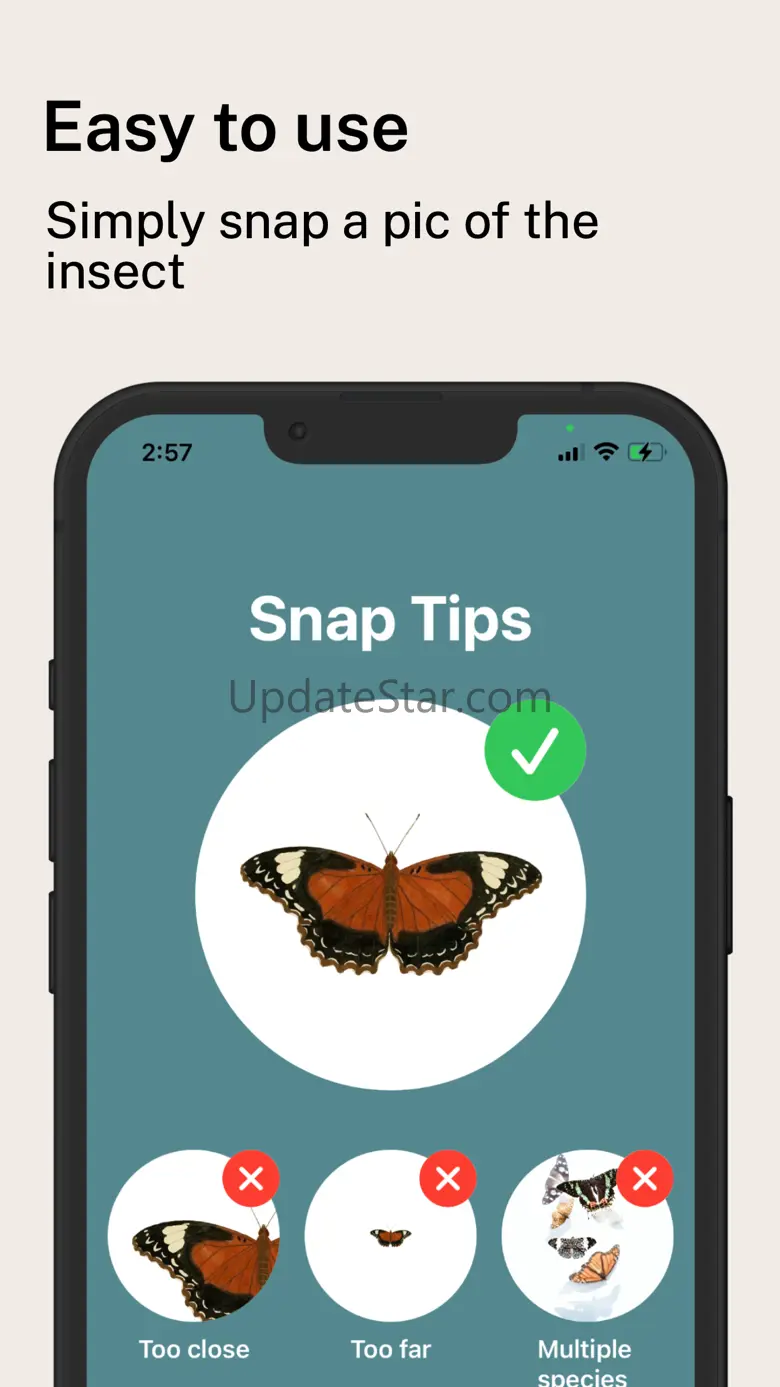 Spider Identifier App 1.3.3