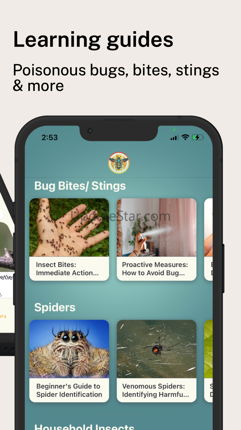 Spider Identifier App 1.3.3