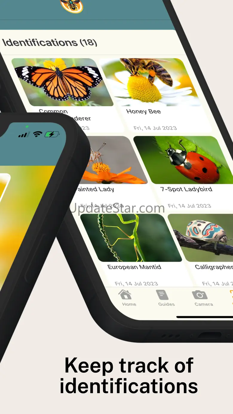 Spider Identifier App 1.3.3