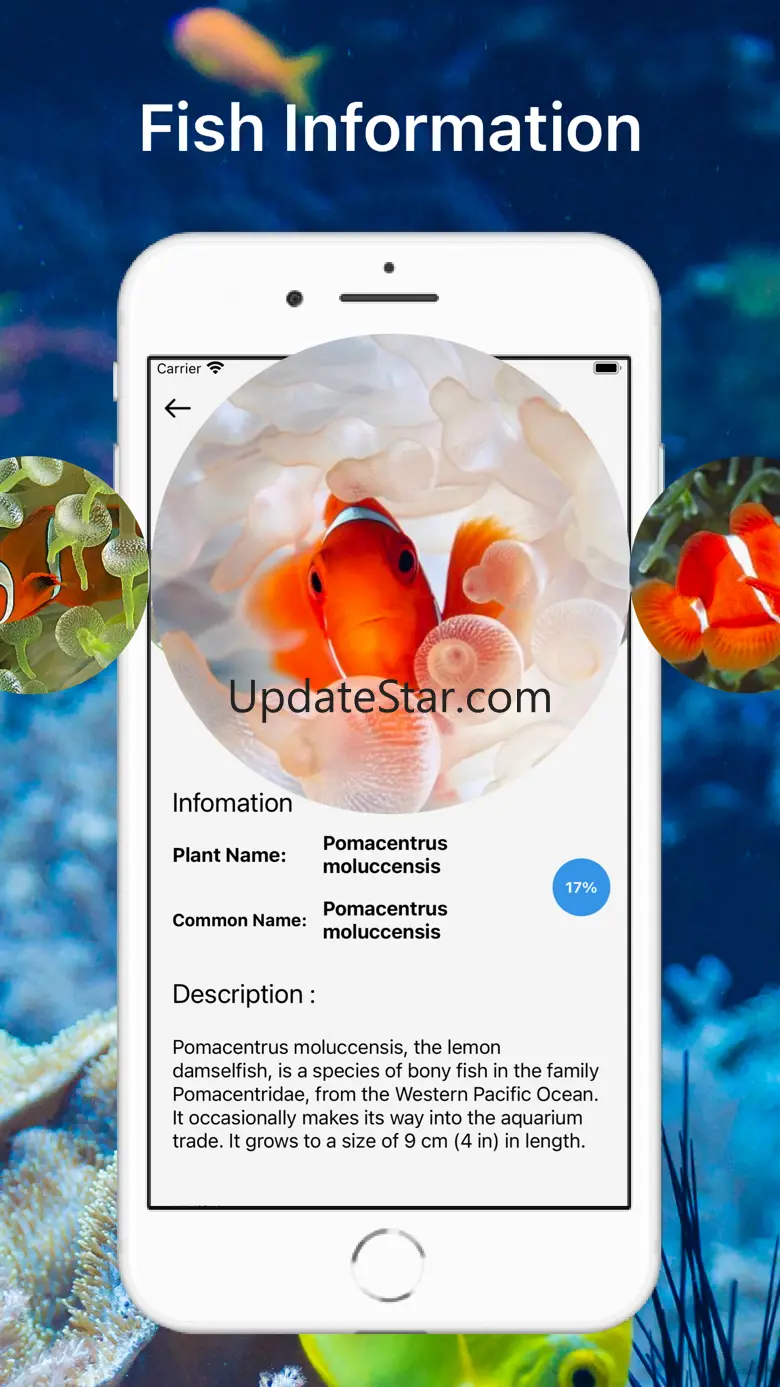 Fish Identifier Fish Verify 1.3.3