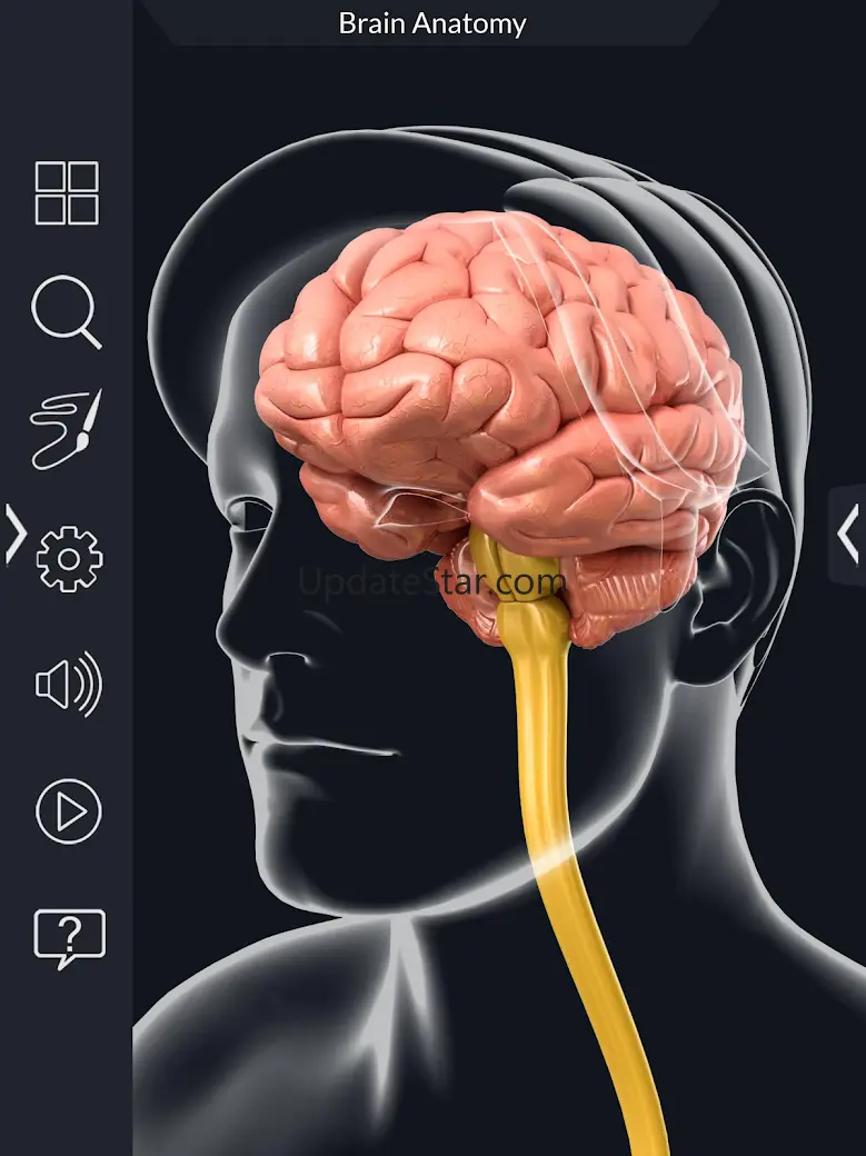 My Brain Anatomy 1.9